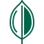 MongoDB